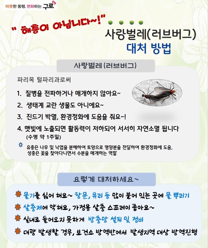 러브버그 특_1.jpg
