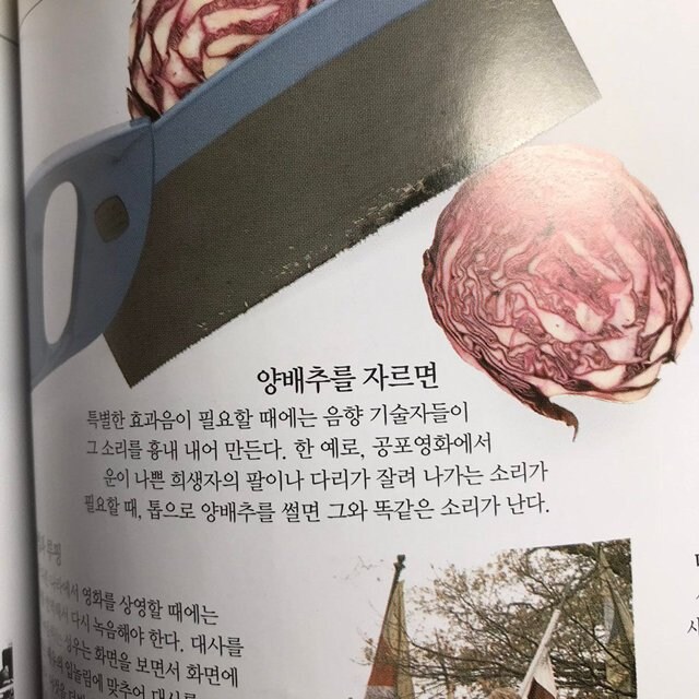 사람을 자를 때 나는 소리.jpg_1.jpg