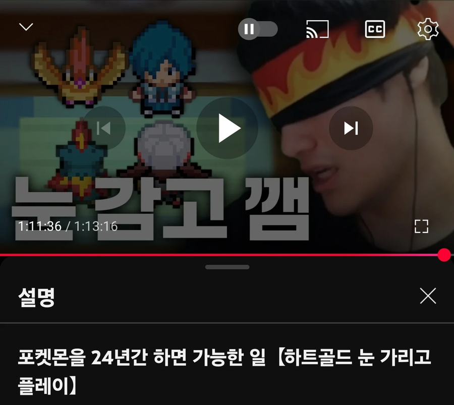 포켓몬을 24년간 하면 가능한 일_1.webp