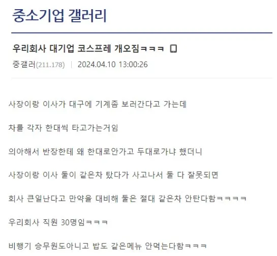 대기업 코스프레 하는 중소기업_1.webp