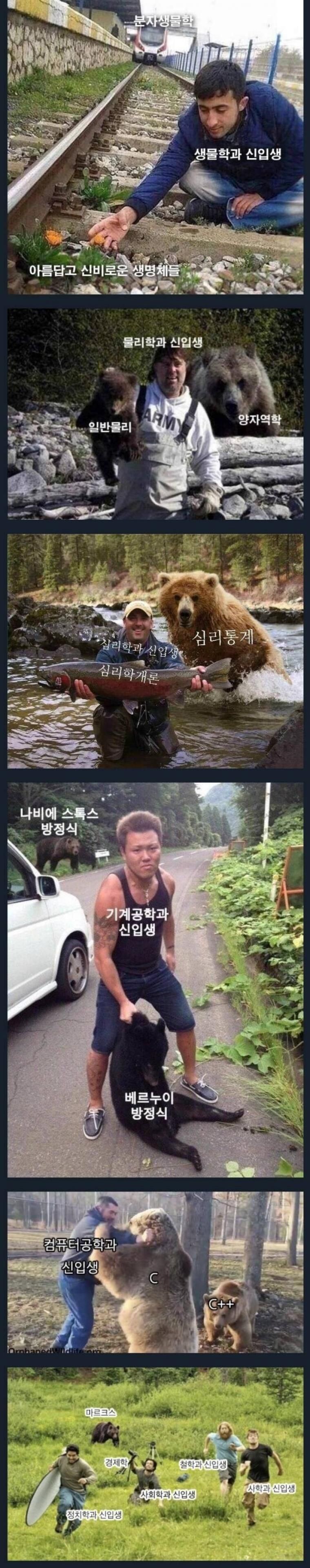 전공별 위험 요소들.jpg_1.jpg