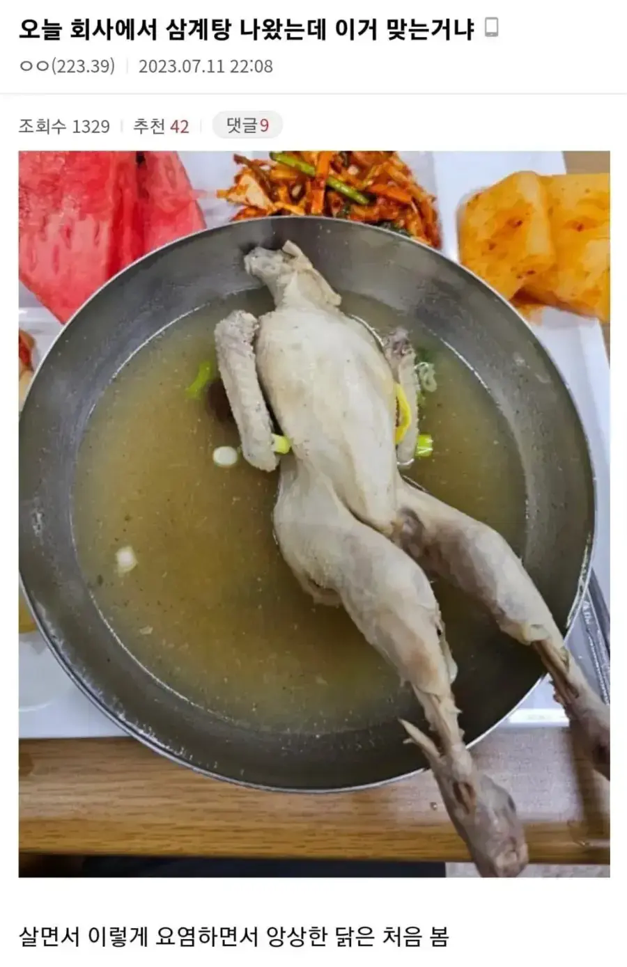 회사에서 삼계탕 나온 디씨인 .jpg_1.webp