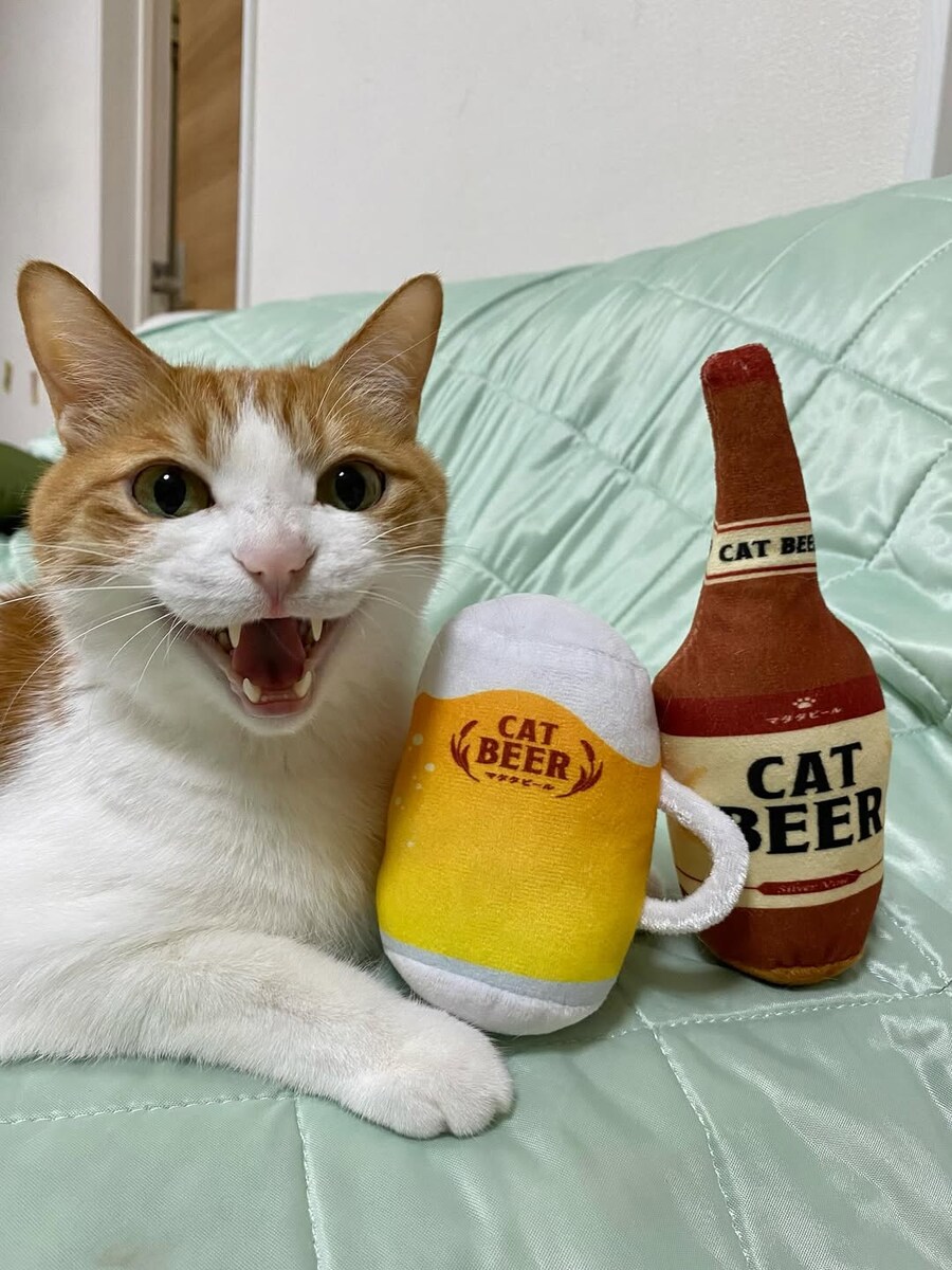 고양이, 캣비어.._2.jpg