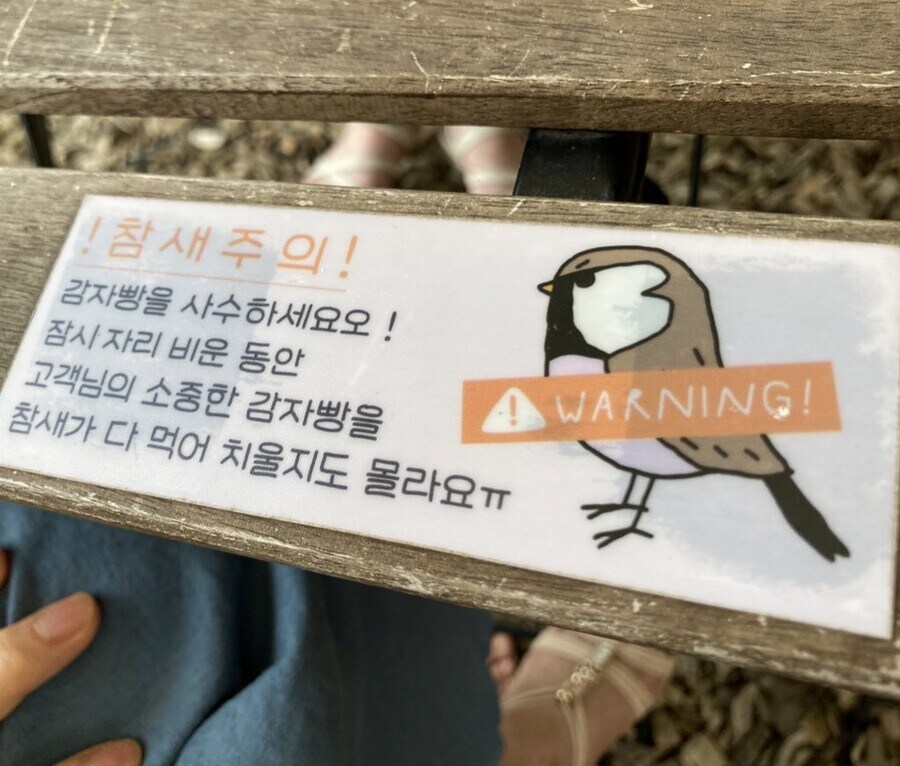 여름참새임.jpg_2.jpg