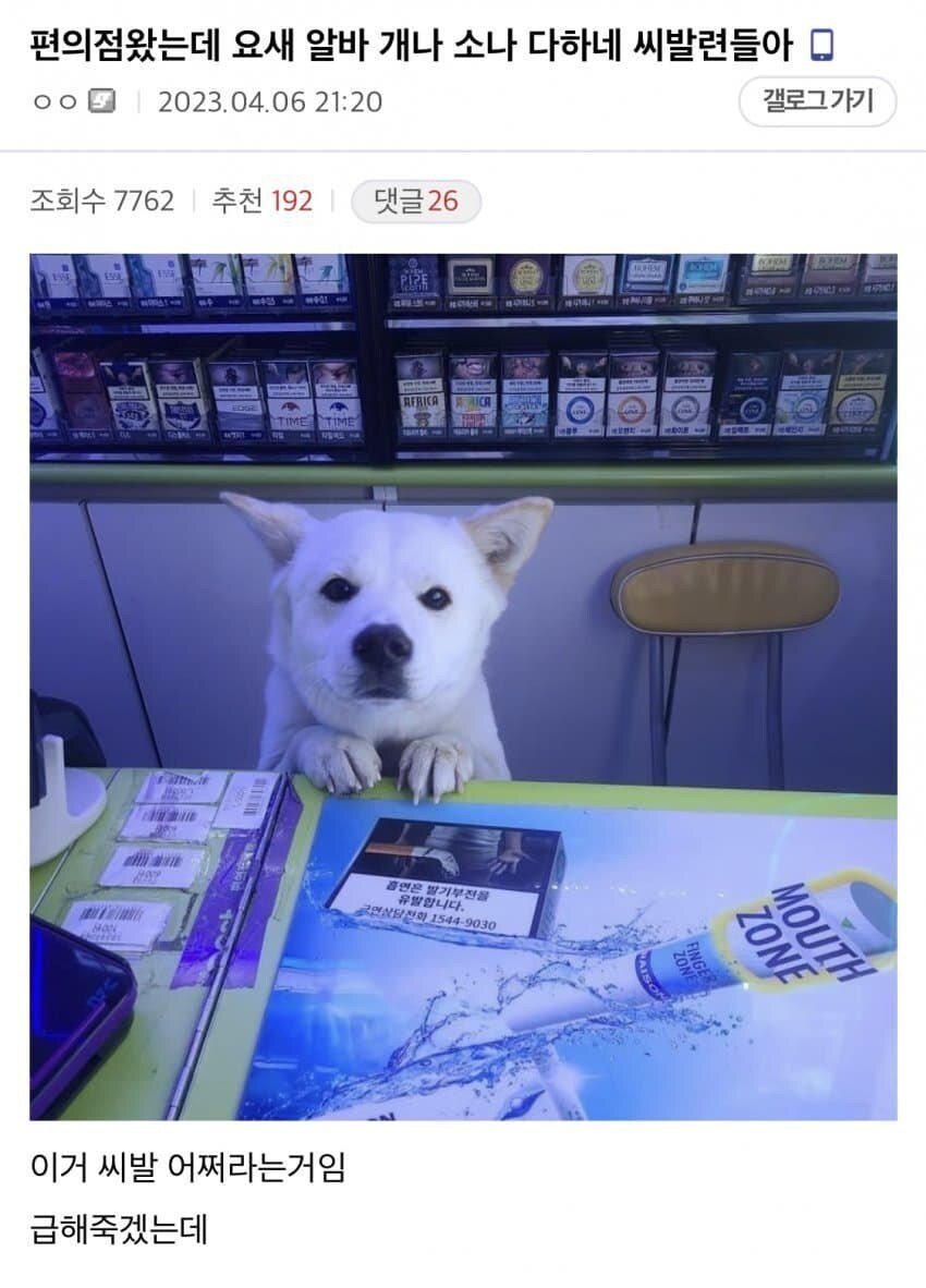 개나 소나 다 알바하네.jpg_1.jpg