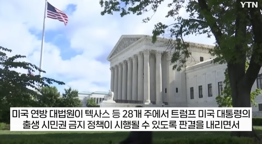 트럼프,