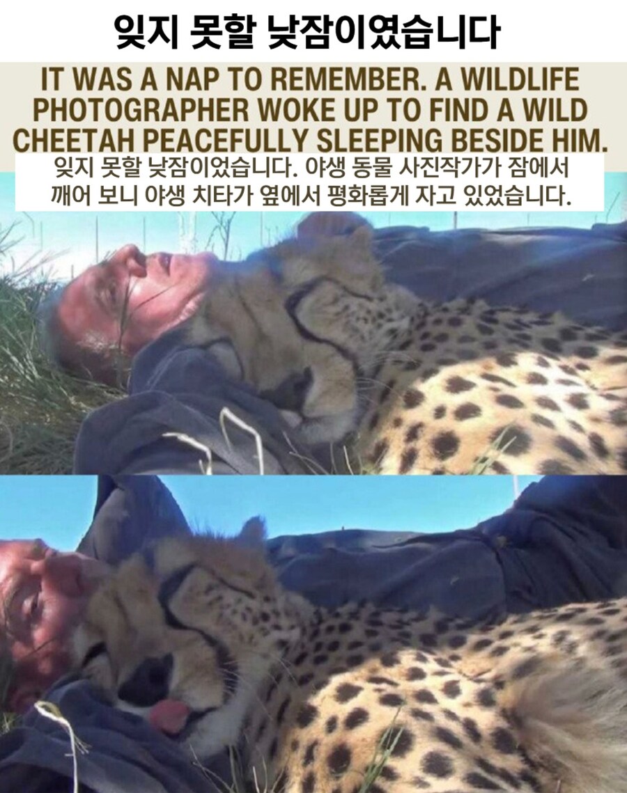 이미 인류와 친숙해질 준비를 마친 동물_1.png