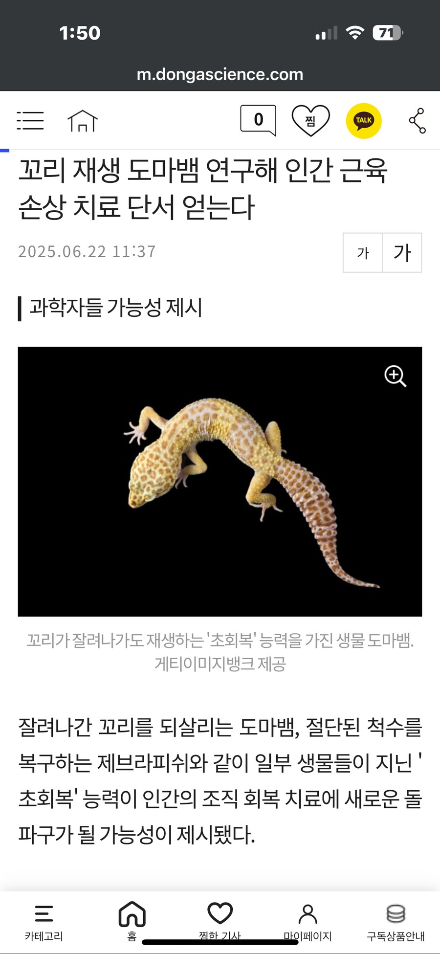 도마뱀... 제브라피쉬... 초회복..._1.png