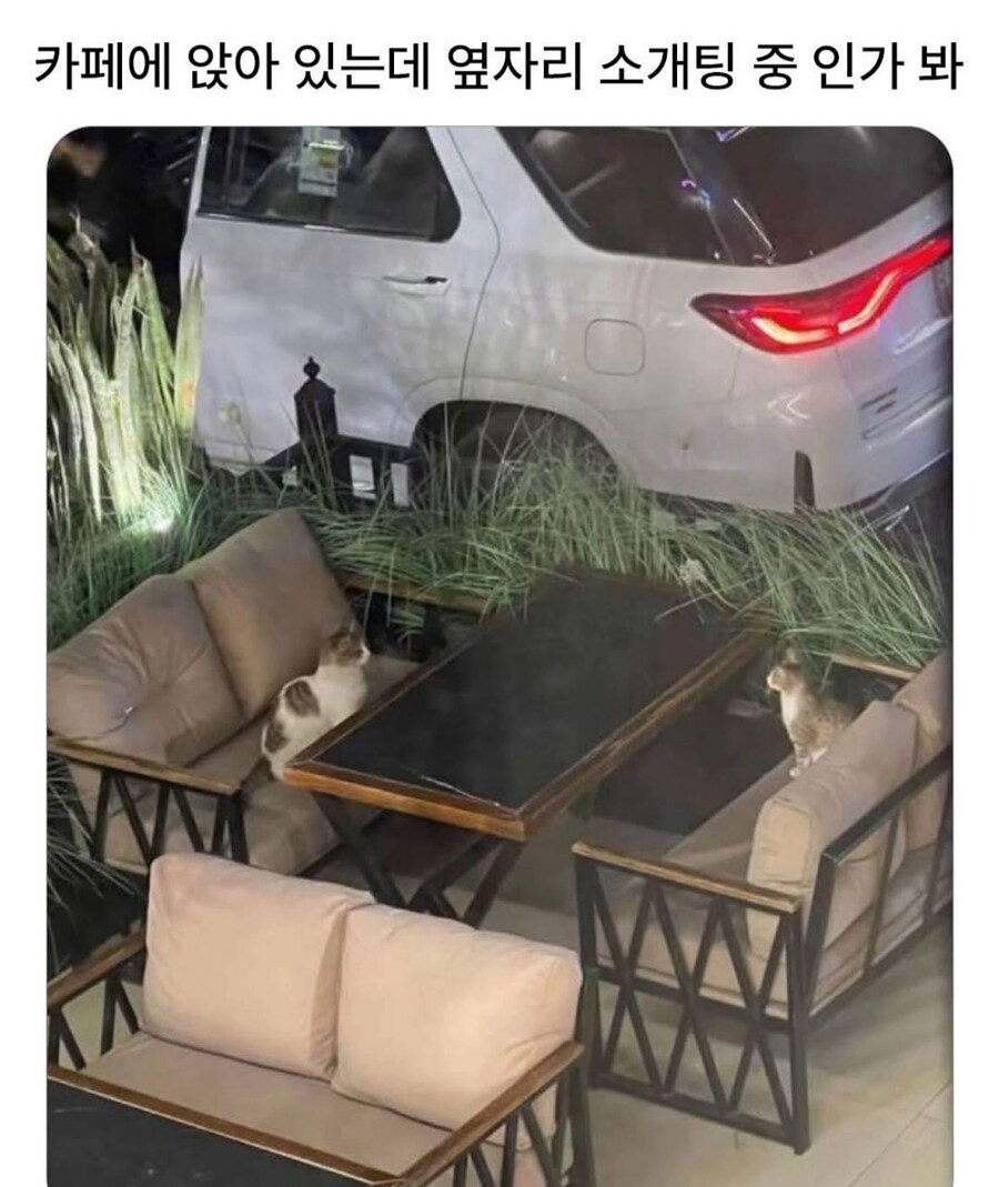 카페에서 옆자리가 소개팅 중이다_1.jpg