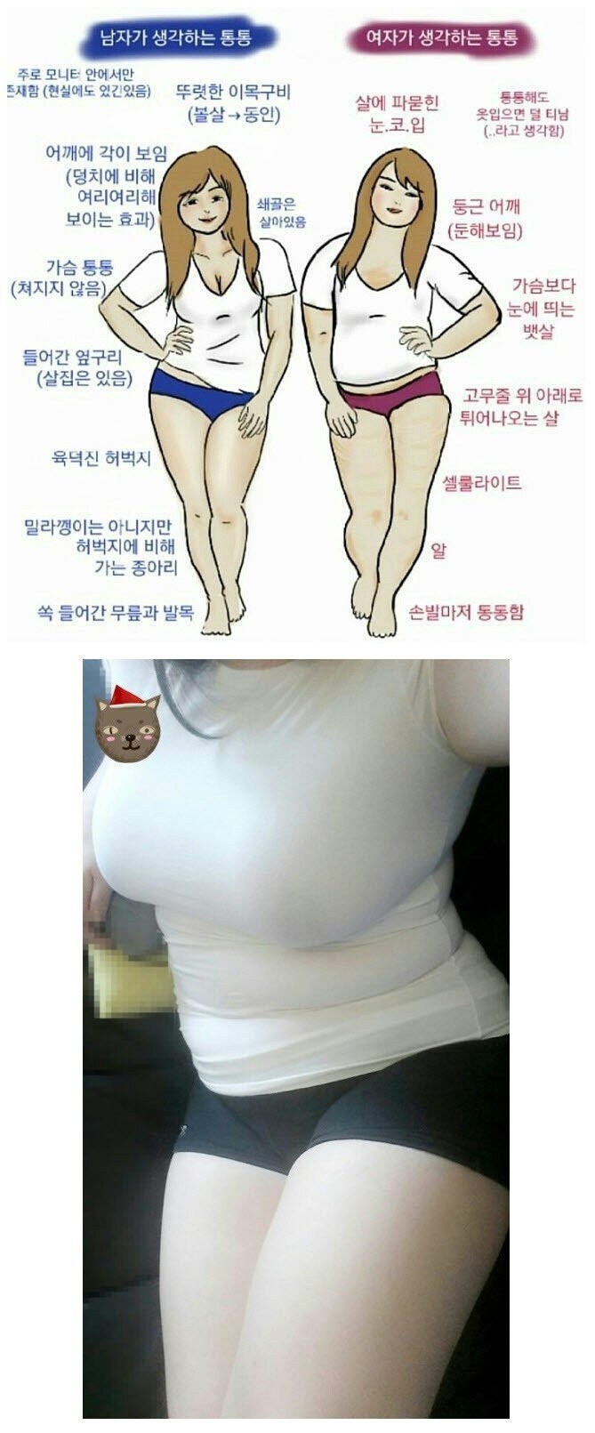 ㅈ토피아가 안되는 통통 마지노선_1.jpg