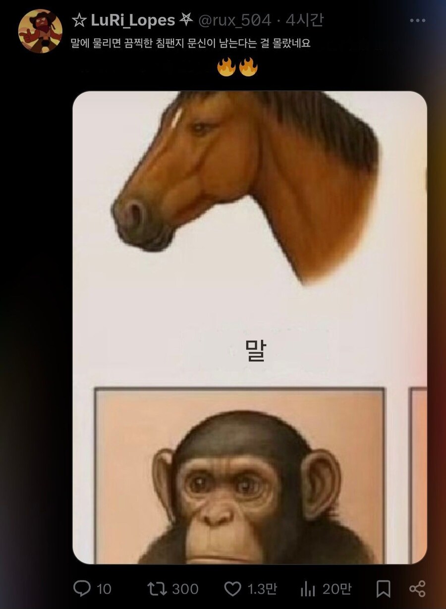 동물별 물린 상처.jpg_2.jpg