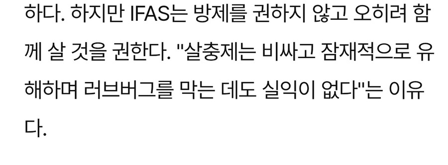 그린피스가 러브버그 방제에 반대한 이유_1.jpg