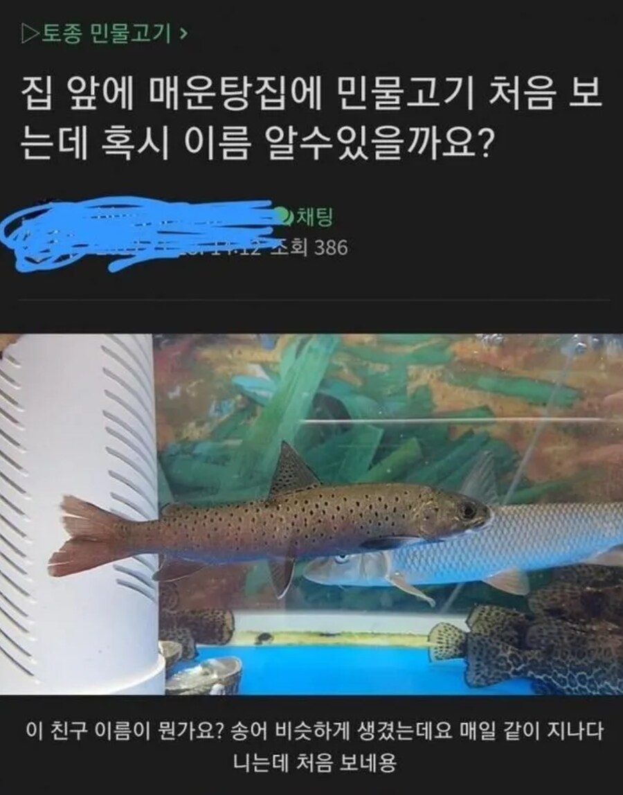 매운탕집 레전드._1.png
