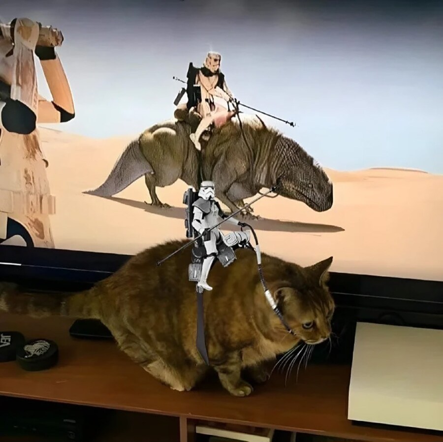 집사가 스타워즈 광팬_1.jpg