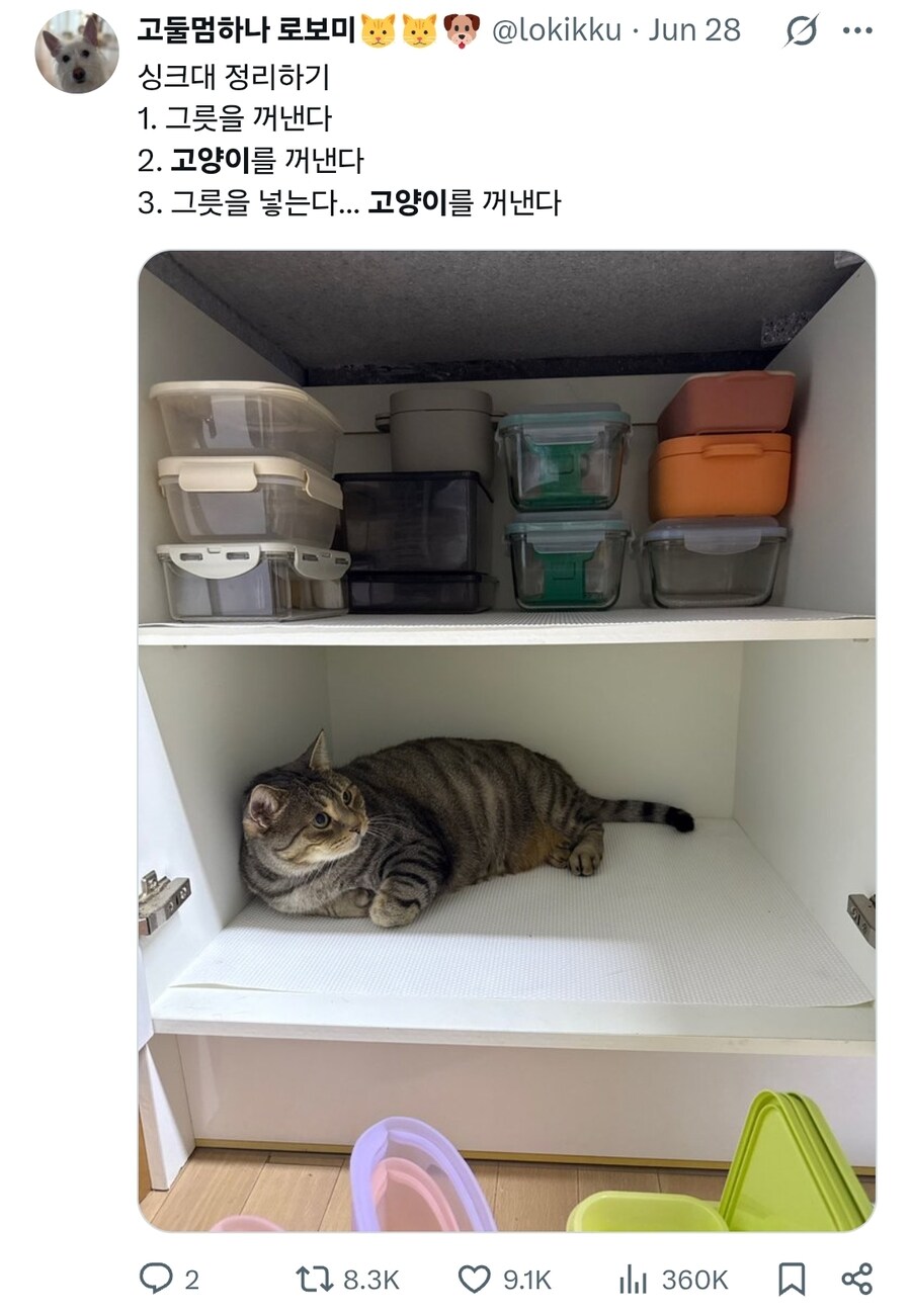 고양이 있는 집에서 싱크대 정리하기.jpg_1.jpg