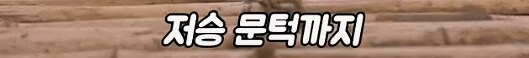 저승 문턱까지 갔었던 소년의 복수_15.png