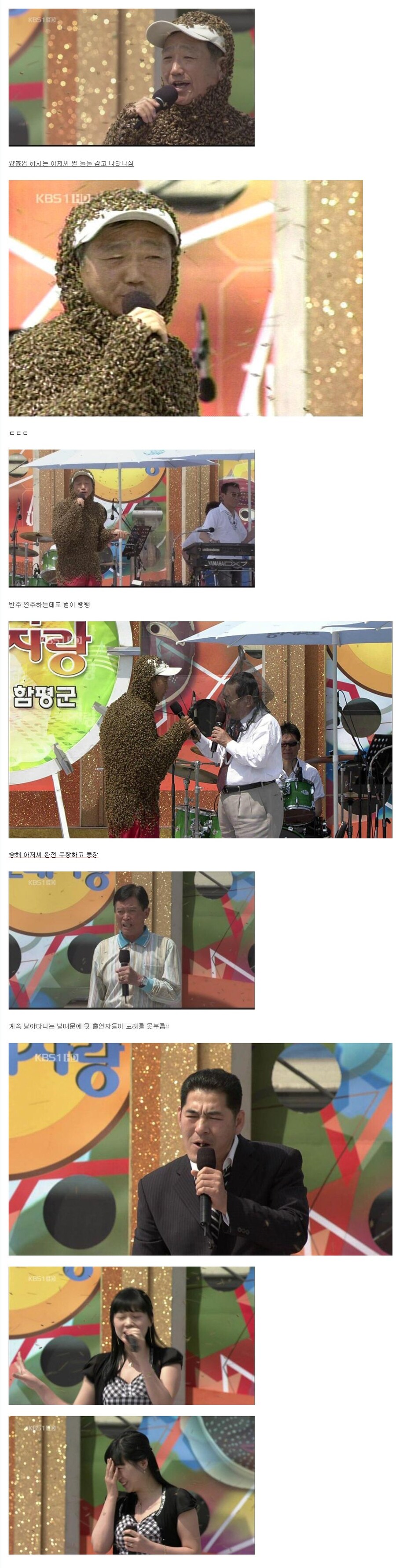 러브버그 익충이라고 괜찮다고 하는 것이 웃긴 게_1.jpg