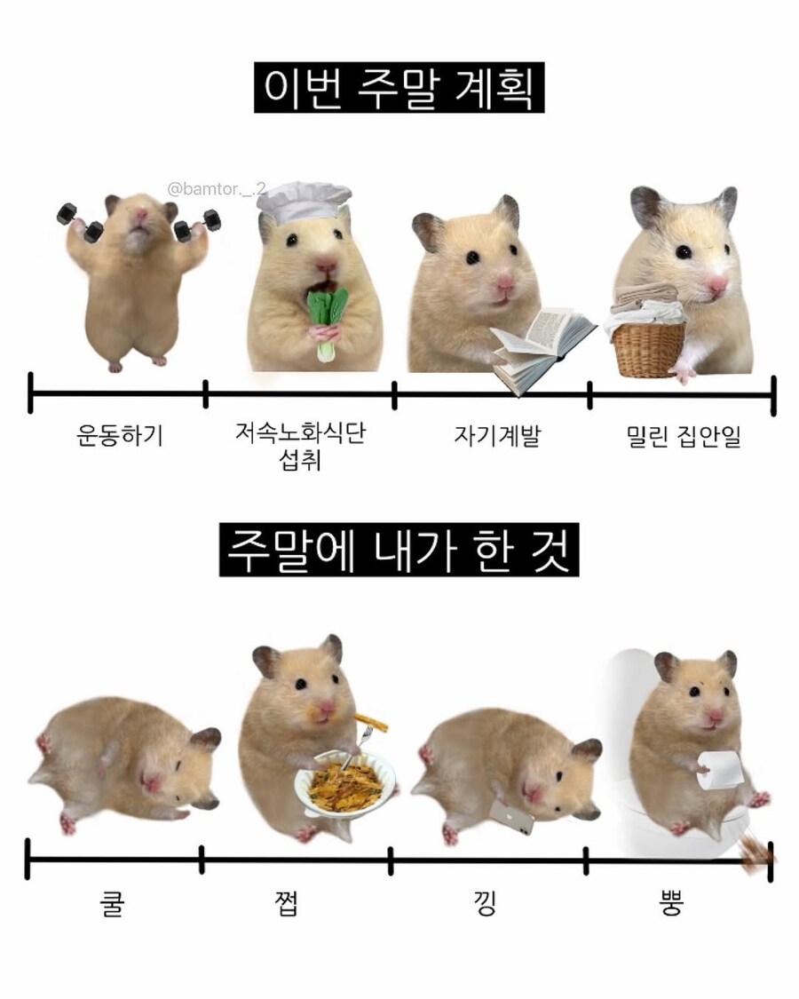 시작은 거창했던 주말 계획.jpg_1.jpg