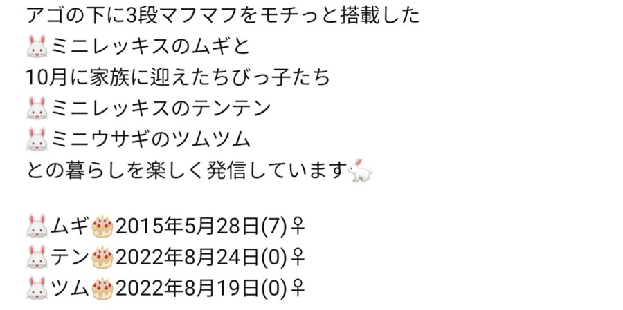 호불호가 갈리는 가슴 빵빵한 로리 바니걸의 와이존_3.jpg