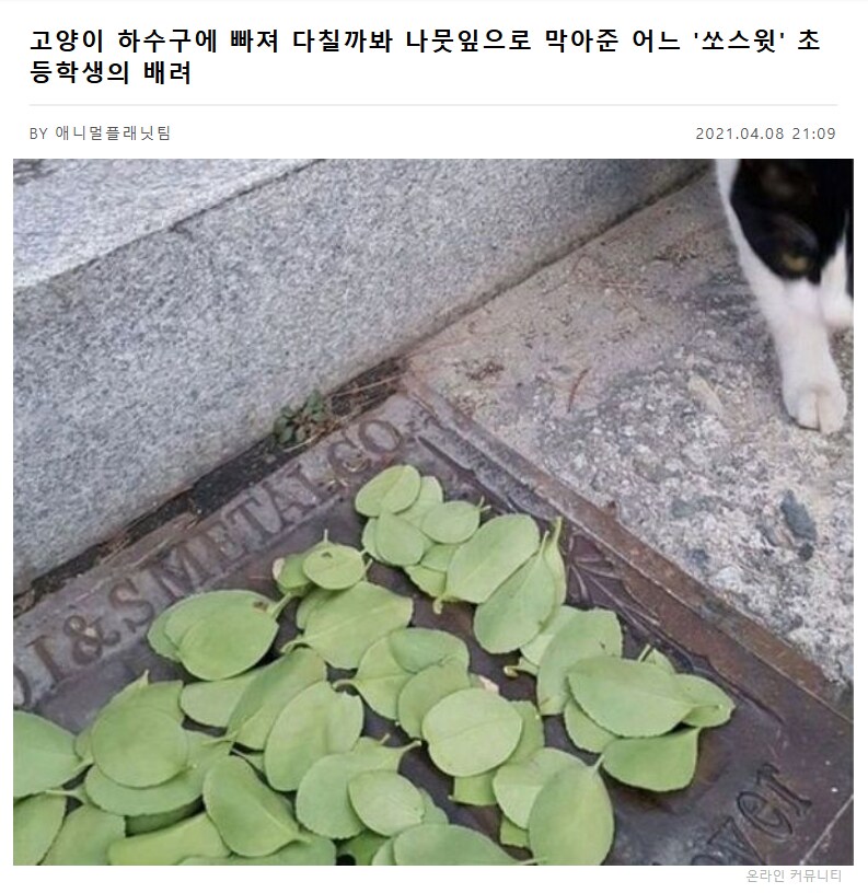 어느 초등학생의 배려심_1.png