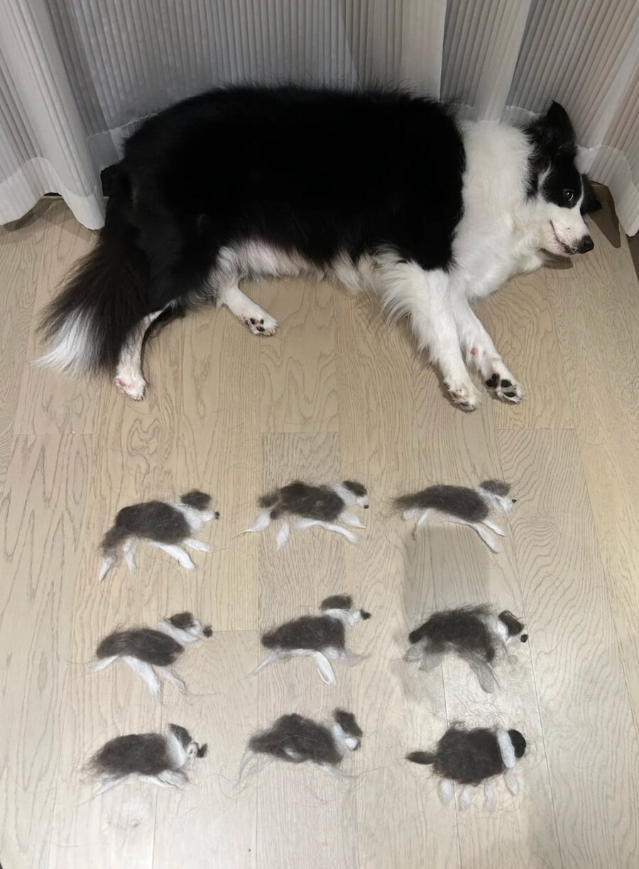 브로콜리 털로 할 수 있는것_1.jpg
