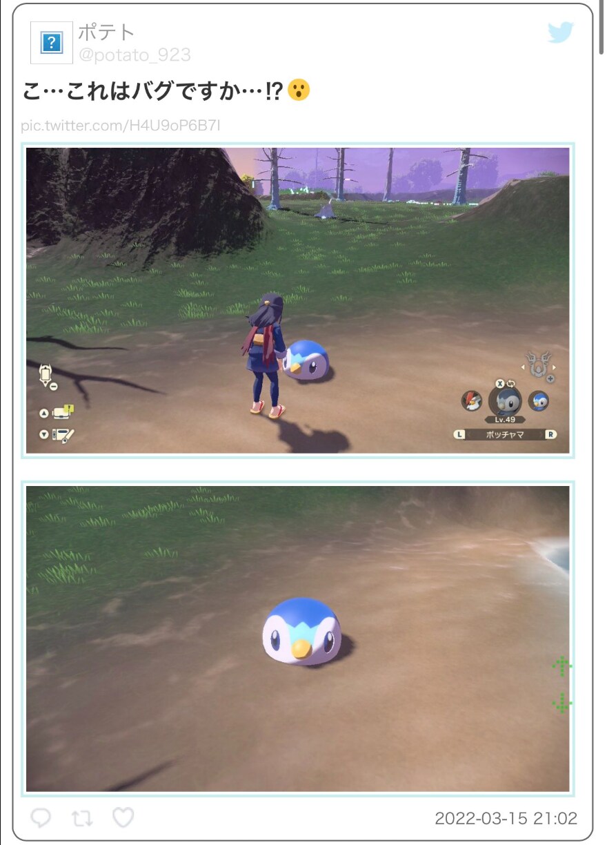 펭도리 공?_1.png
