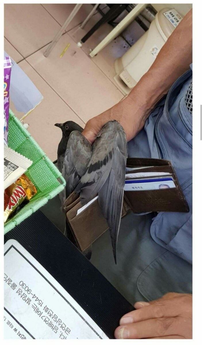 개인적으로 편의점갤 레전드_2.jpg
