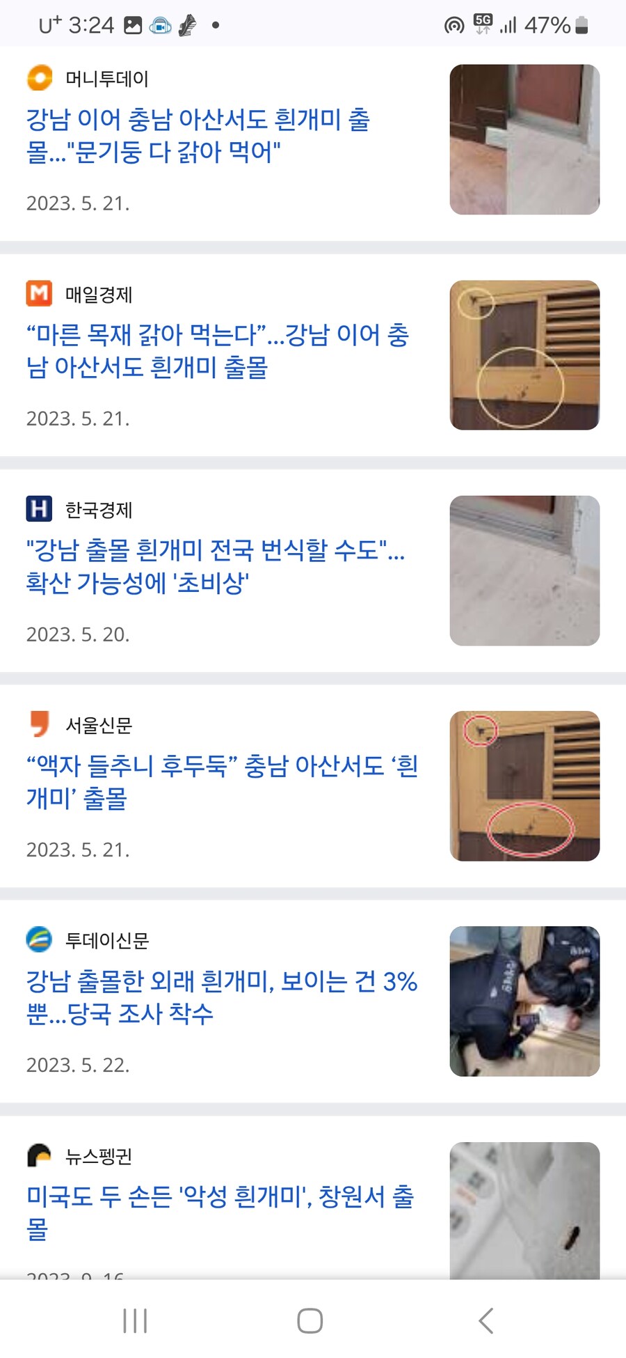 ???: 러브버그가 서울에서 나와 난리지, 지방이었으면 언론 조용함.jpg_2.jpg