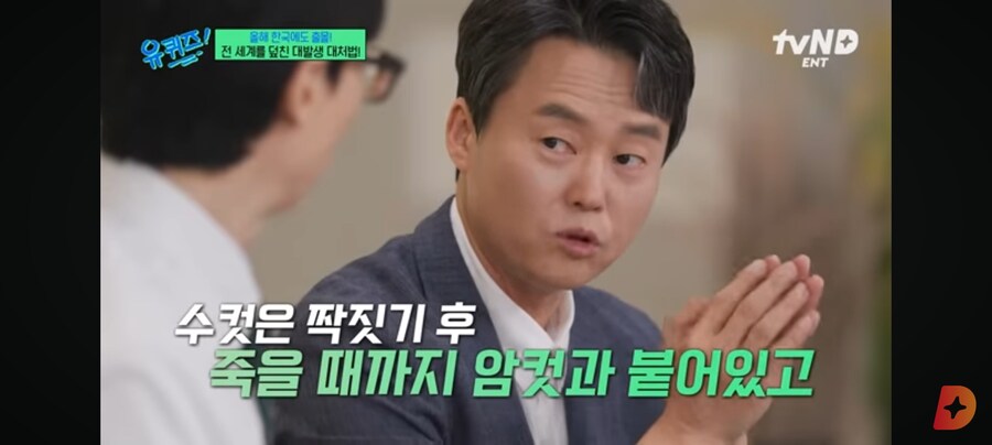 러브버그, 수컷은 짝짓기 후 죽을때까지 암컷과 붙어있어_2.jpg