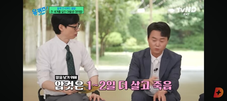 러브버그, 수컷은 짝짓기 후 죽을때까지 암컷과 붙어있어_3.jpg