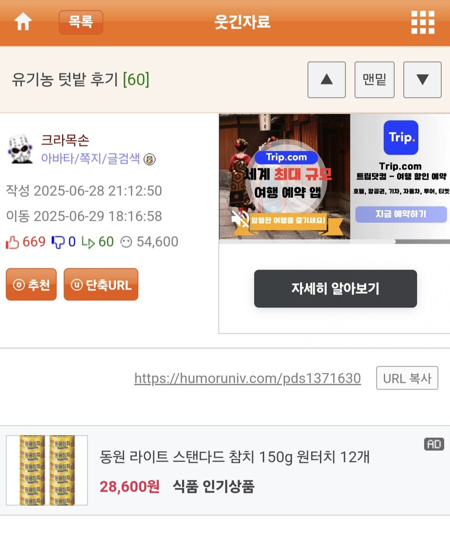 유기농 양배추 텃밭.jpg_1.jpg