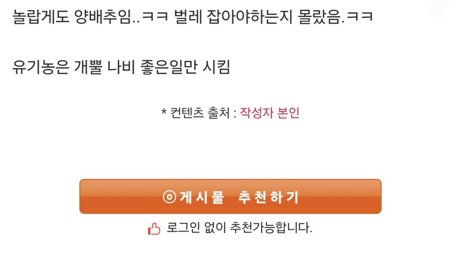 유기농 양배추 텃밭.jpg_3.jpg