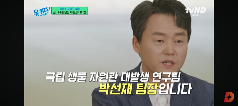 러브버그, 수컷은 짝짓기 후 죽을때까지 암컷과 붙어있어_1.jpg