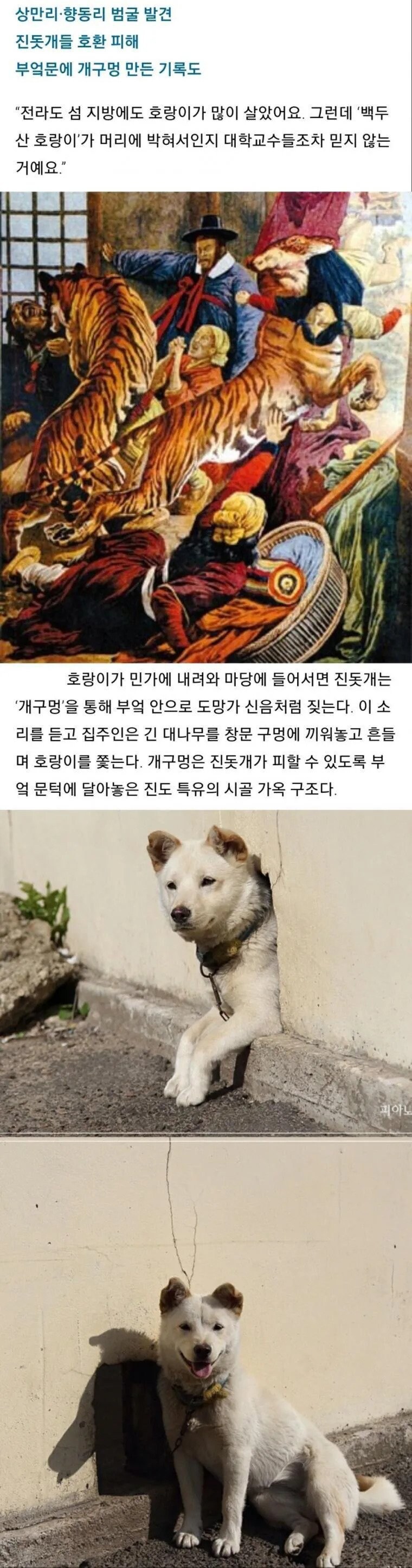 한국에서 개구멍이 생긴 이유.jpg_1.jpg
