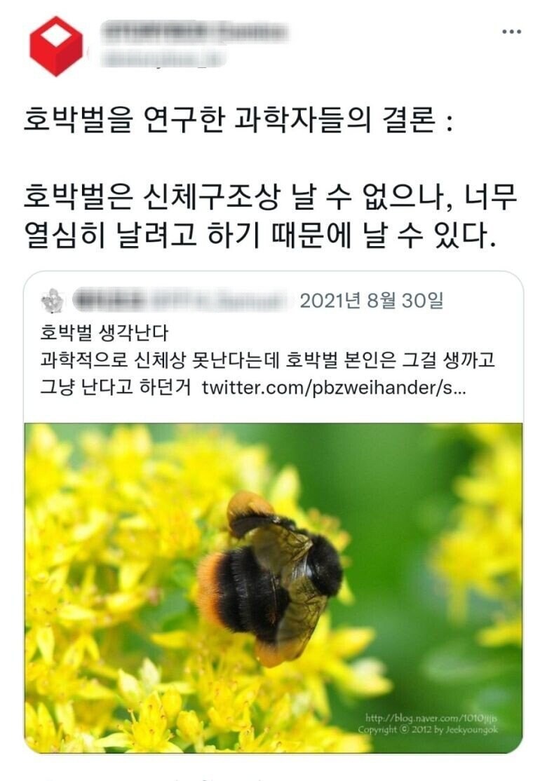 귀여운 곤충...._6.jpg