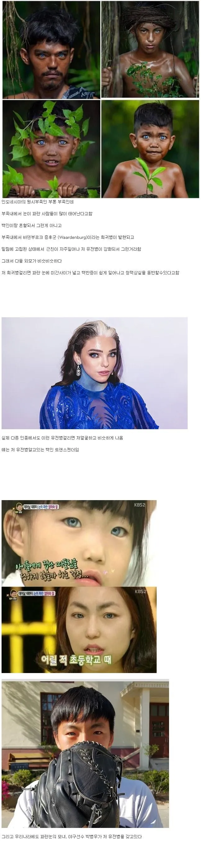 파란눈을 가진 동남아 원시부족_1.webp