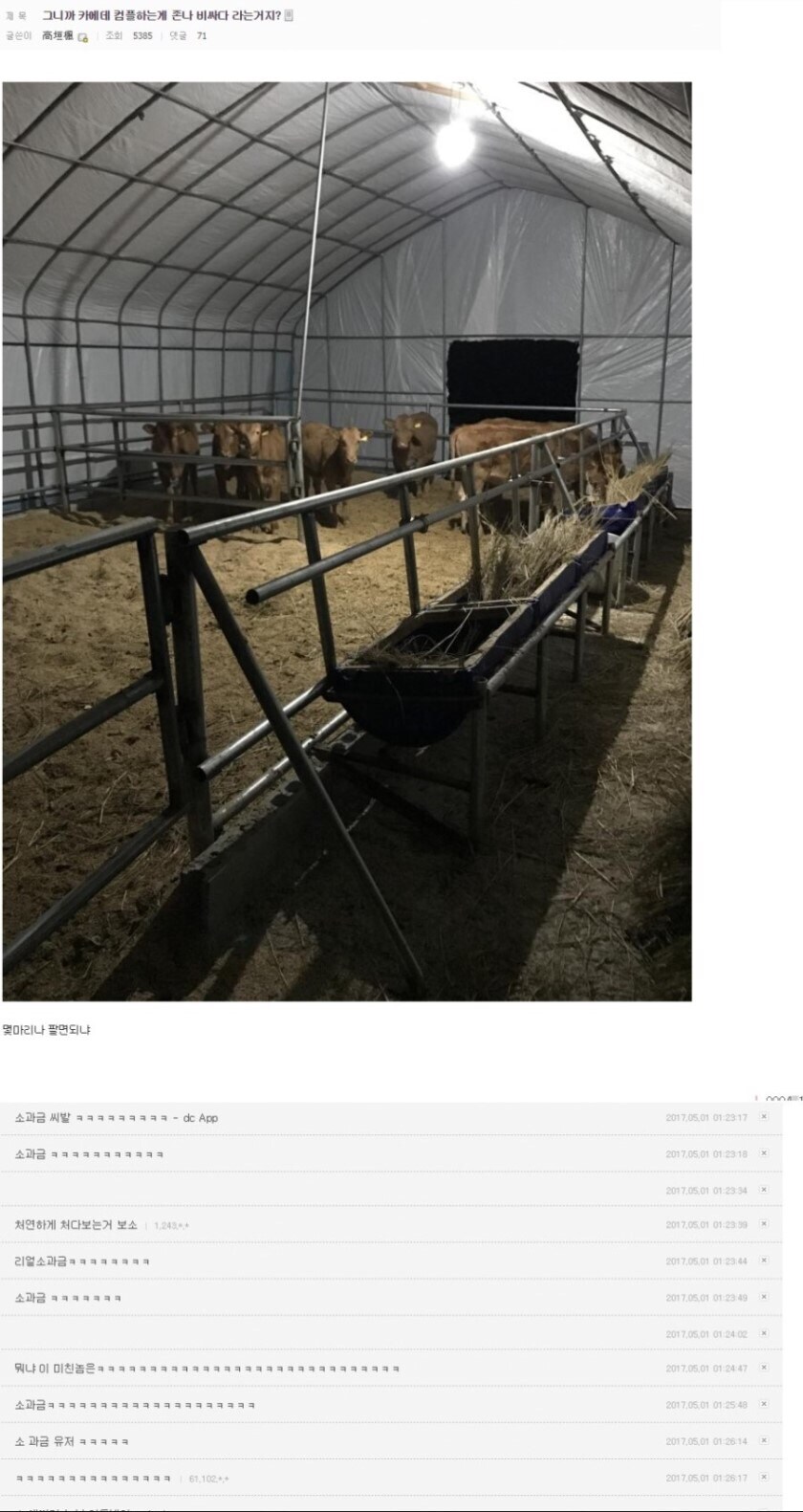 흔치않다는 소과금 유저 .jpg_1.jpg