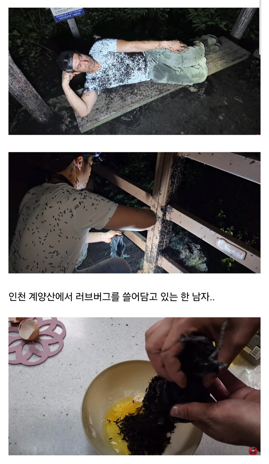 혐)러브버그로 버거 만들어 먹는 유튜버_2.jpg