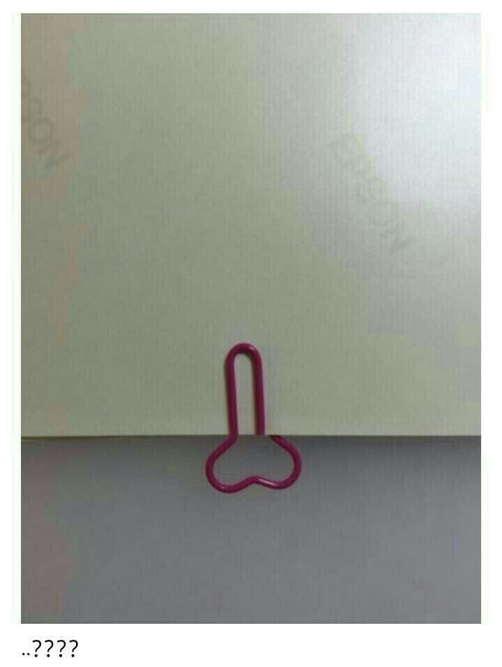 뼈다귀 클립 참사.jpg_2.jpg