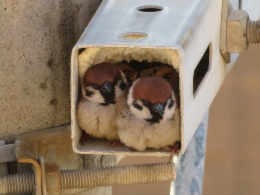 뭔가 이상한 CCTV.jpg_3.jpg