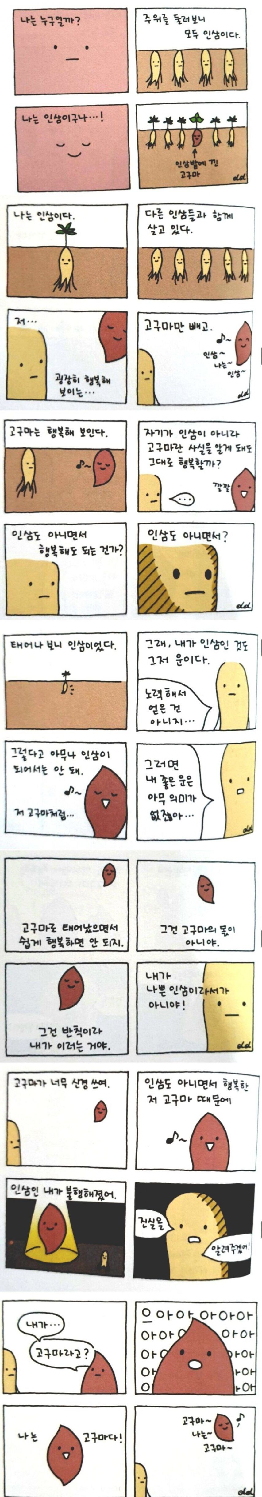 인삼 밭에서 자란 고구마_1.jpg