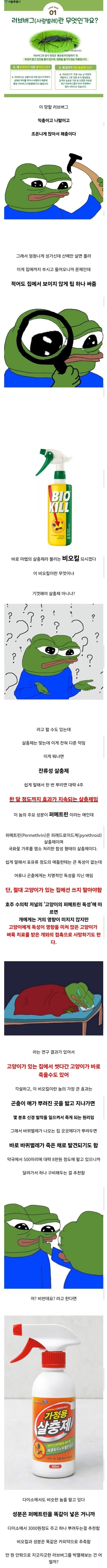러브 버그를 막는 방법 알려줌_1.png