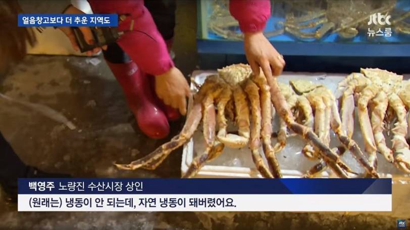 날씨가 추울때 수산시장.jpg_2.jpg