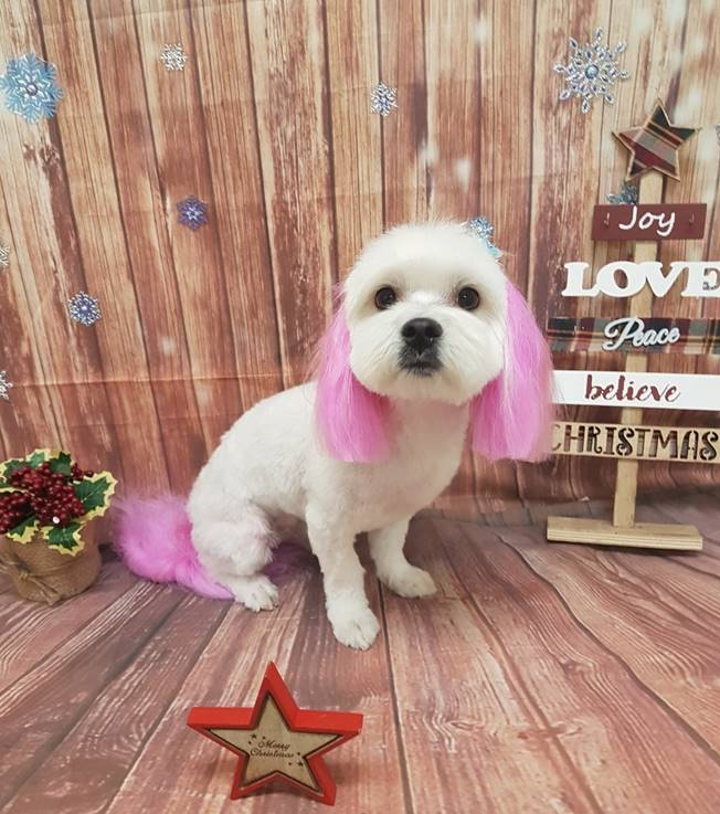 존나 오래된 동네 미용실 특징_2.png