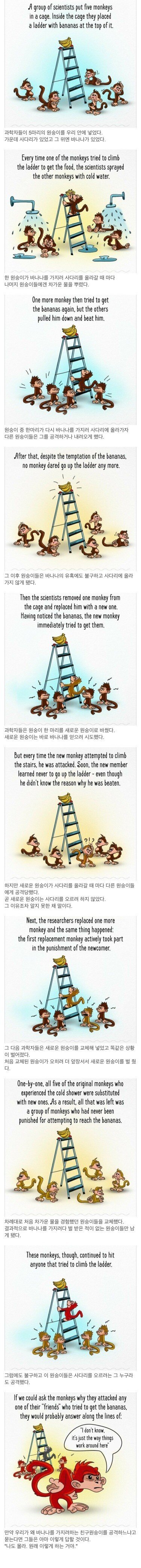 영장류 동물이 사회적 금기를 만드는 과정.jpg_1.jpeg
