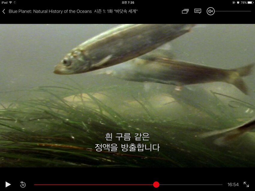 지금이야말로 정액 떡밥을 달려야 할 때!_2.jpg