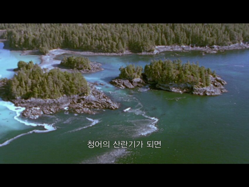 지금이야말로 정액 떡밥을 달려야 할 때!_5.jpg