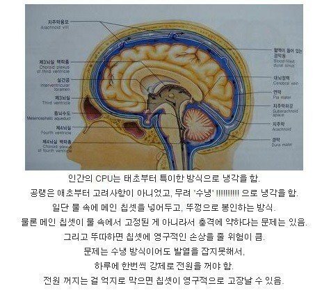 인간이 CPU 를 냉각하는 법.jpg_1.jpeg