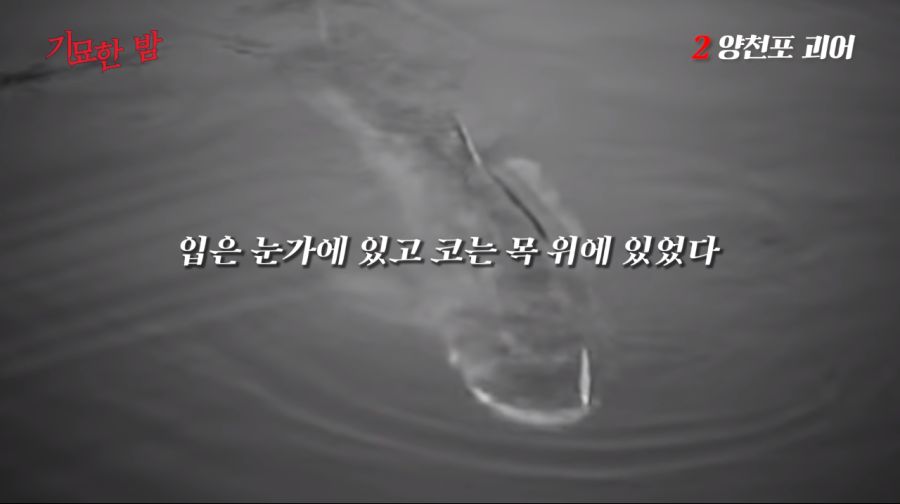 Cap 2021-06-02 00-51-35-458.png
