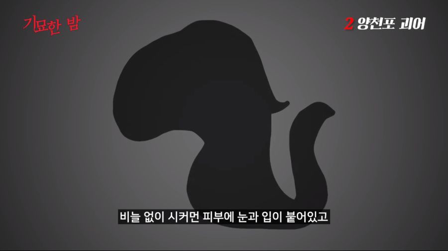 Cap 2021-06-02 00-52-21-642.png